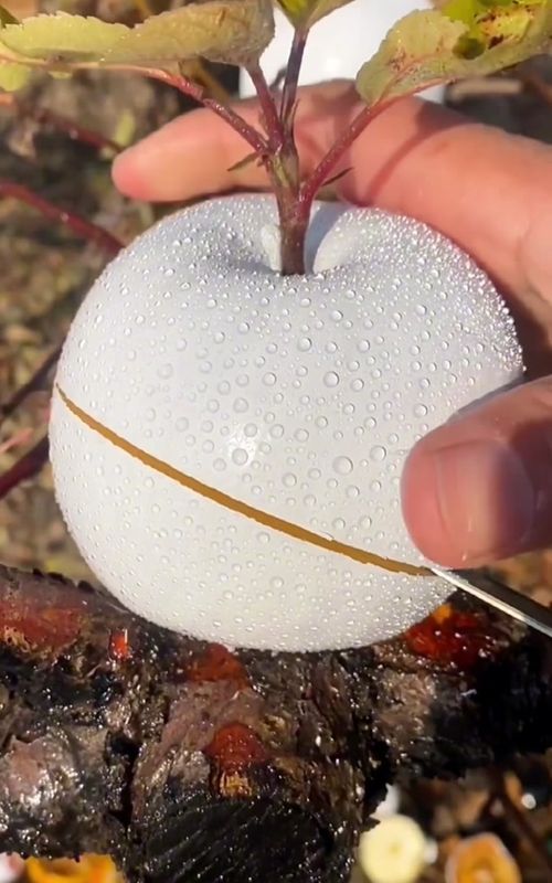 OMG 😱🤤😋👩‍🌾🍎#fyp #foryou #asmr #fruit #apple 