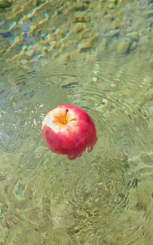 apple #apple
