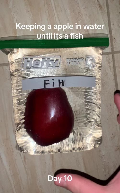 #fyp #viral #pleasedontflop #apple #water @OTB DJ 