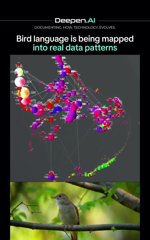 Lucio Arese is mapping bird communication into structured visual data, revealing patterns in how signals are shared and repeated.  By analyzing these interactions, complex behaviors begin to form readable systems rather than random noise.  This work opens a path toward understanding non human communication through data modeling. Track how technology builds the future and reshapes everyday life. IG ➕ @deepen.ai