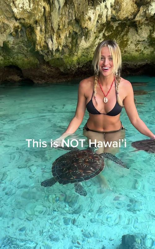 Save this if you plan to go someday🐠🌊: 🌴1 night stone town -explore, shop, eat at secret garden / night market 🌊4 nights jambiani -kiteboarding, starfish, sailing, insane sandbars, most beautiful beach IMO, you can find locals to take you to do all activities inexpensively! 🐬3 nights nungwi - dolphin diving with Mermaid Experience, Nanasi beach restaurant, do a tour to snorkel Mnemba island🏝️ And follow to see the world❤️✈️ #zanzibar #tanzania #travel #osmoaction6 #underwater