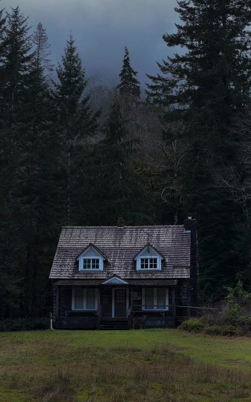 The Pacific Northwest is calling…this is your sign to plan a road trip in 2026 🚗🌲✨ #pnwonderland #washington #pnw #roadtrip 