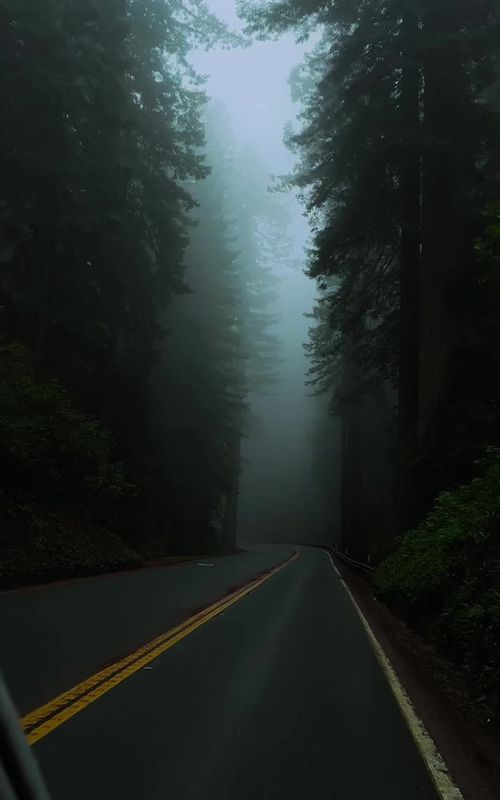Roadtrips through the PNW 🌲 