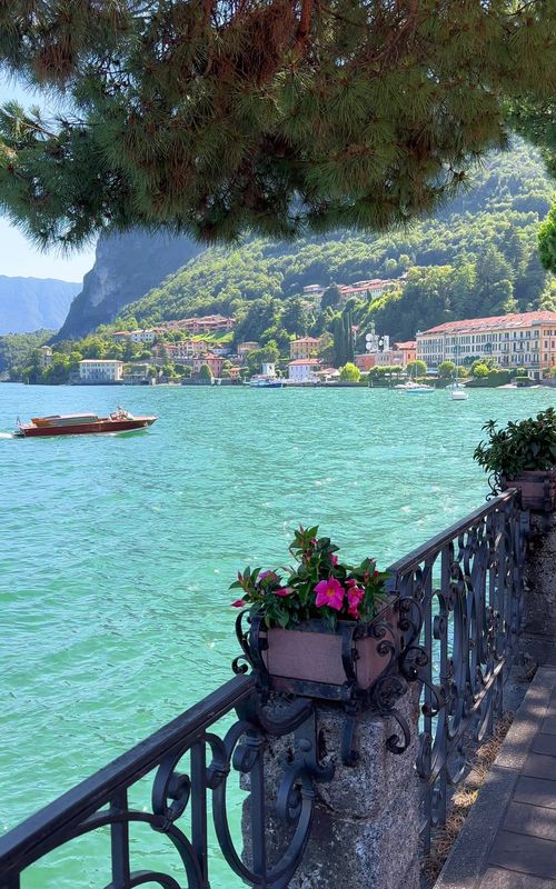 Spring on Lake Como is not loud, it’s gentle. Colors slowly return, flowers start to bloom, and the landscape changes almost day by day. Greens become deeper, light gets warmer, and every corner feels alive again. It’s not just a destination, it’s a season you can feel. 🌸🌿☀️ #LakeComo #LagodiComo #SpringInItaly #ItalyNature #ItalyTravel 