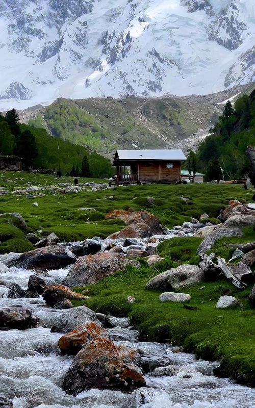 The beautiful fairy meadows - Nangaparbat North Pakistan 🇵🇰😍🏔️ 𝐏𝐥𝐚𝐧 𝐲𝐨𝐮𝐫 𝐩𝐞𝐫𝐟𝐞𝐜𝐭 𝐜𝐮𝐬𝐭𝐨𝐦𝐢𝐳𝐞𝐝 𝐁𝐲 𝐚𝐢𝐫 𝐭𝐫𝐢𝐩 & 𝐛𝐲 𝐫𝐨𝐚𝐝 𝐭𝐫𝐢𝐩𝐬 𝐭𝐨 𝐝𝐢𝐟𝐟𝐞𝐫𝐞𝐧𝐭 𝐝𝐞𝐬𝐭𝐢𝐧𝐚𝐭𝐢𝐨𝐧𝐬 𝐢𝐧 𝐩𝐚𝐤𝐢𝐬𝐭𝐚𝐧 𝐰𝐢𝐭𝐡 𝐒𝐤𝐚𝐫𝐝𝐮 𝐓𝐨𝐮𝐫𝐢𝐬𝐦 𝐂𝐥𝐮𝐛 Skardu | Hunza | Fairy meadows | Astore minimerg | Naran kaghan    | Kahsmir | Swat - Kalam | Shogran | Nangma valley Pakistan  || K2 Base Camp Pakistan Direct flights available from Islamabad, Lahore & Karachi to skardu  1: Family Tours  2: Honeymoon Tours  3: Corporate Tours  4: Group Tours 5: College / university tours  Make memories with your loved ones We are offering affordable packages. Get your quote today.  ⁨WhatsApp us number mentioned in profile  #foryou #foryoupage #unfrezzmyaccount #skardutourismclub #goomopakistan 