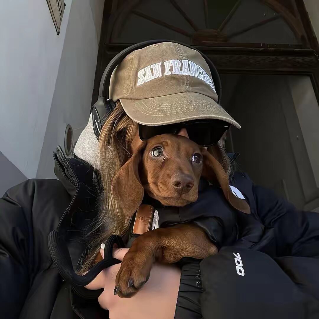 li.