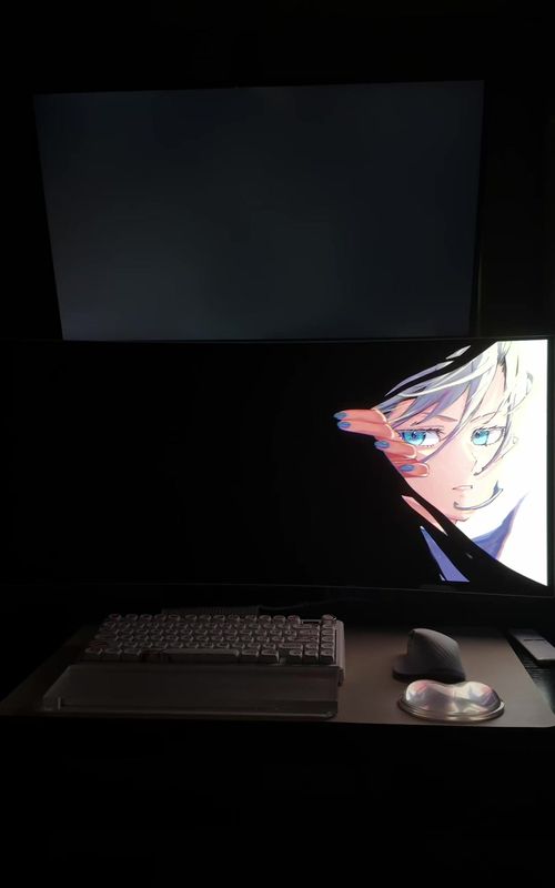 Had to do this trend 😮‍💨#oled #techtok #fyp #pcsetup #viral 