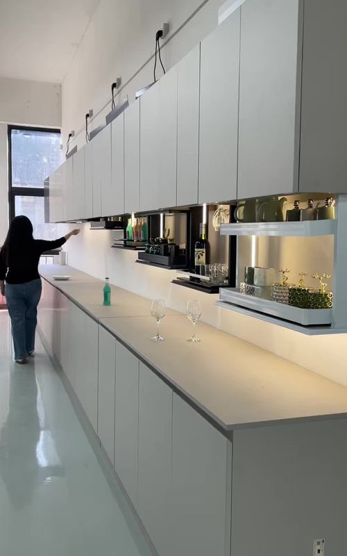 meet your storage needs#smarthome#cabinet