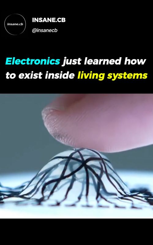 The line between biology and technology just vanished. 🧬🔌 Imagine electronics that don’t just sit on your skin, but actually exist inside living systems. We’re moving past wearable tech and entering the era of "living electronics." This isn't just science fiction anymore. Researchers are developing ultra-soft, flexible conductive polymers that can be injected or grown within biological tissue. These materials are designed to: Mimic the elasticity of cells so they don't cause damage. Monitor health in real-time from the inside out. Bridge the gap between our nervous system and digital interfaces. The future of medicine isn’t just a pill; it might be a circuit. Would you ever consider internal tech to upgrade your health? 👇 #BioHacking #FutureTech #Biotechnology #Innovation #TechNews