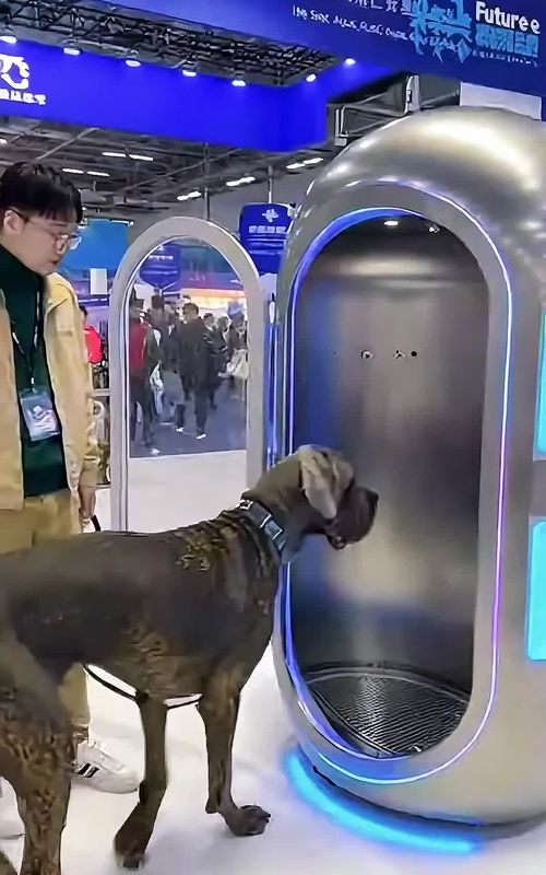 Dubai's FUTURE AI PET GROOMING Machine is UNREALISTIC😲🤖Robot Grooming Machine 3.0✂️Live! #ai #haircut #future #technology #2026 