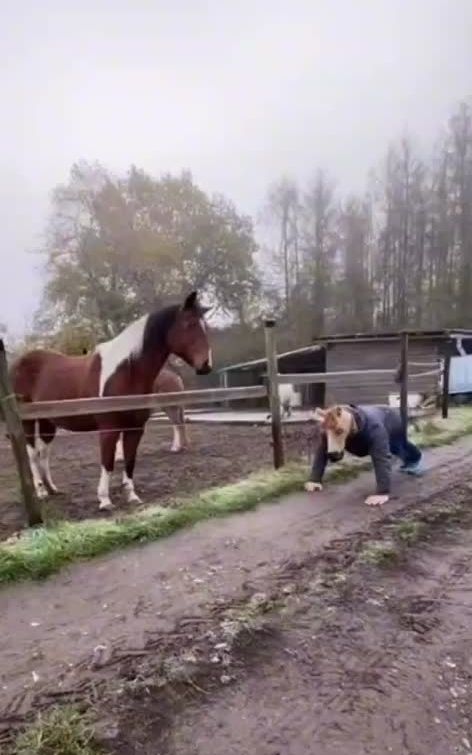 Follow me for more daily funny videos #fyp #foryou #foryoupage #fypシ #xyzbca #funny #funnyvideos #funnyanimals