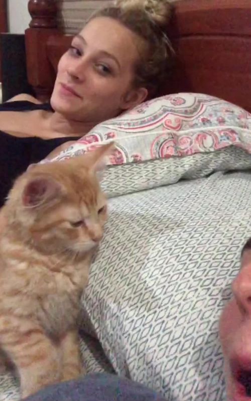 Cats sleep very clingy.😂😂😂#pet #cat #catsoftiktok #funnymoments #funny #cattok #funnyvideos #foryou #animals #catlife #funnycat #PetsOfTikTok 