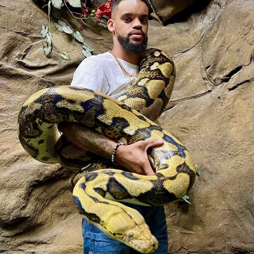 Theblackivoryx🐍