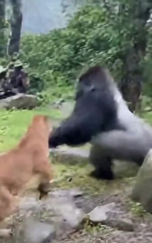 Wild Life🤯😱#wildlife 