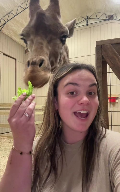 Let’s check on the zoo! @safaristayz #animal #animals #exotic #safaristayz 
