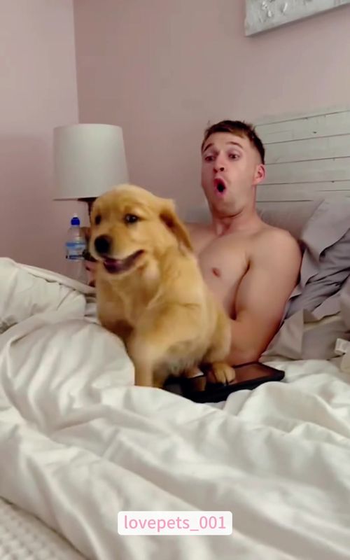 The last one.🤣🤣🤣#dog #dogs #doglover #dogsoftiktok #funny #foryou #funnyvideos #viral #funnytiktok #fypシ゚viral #funnyanimals #usa🇺🇸 