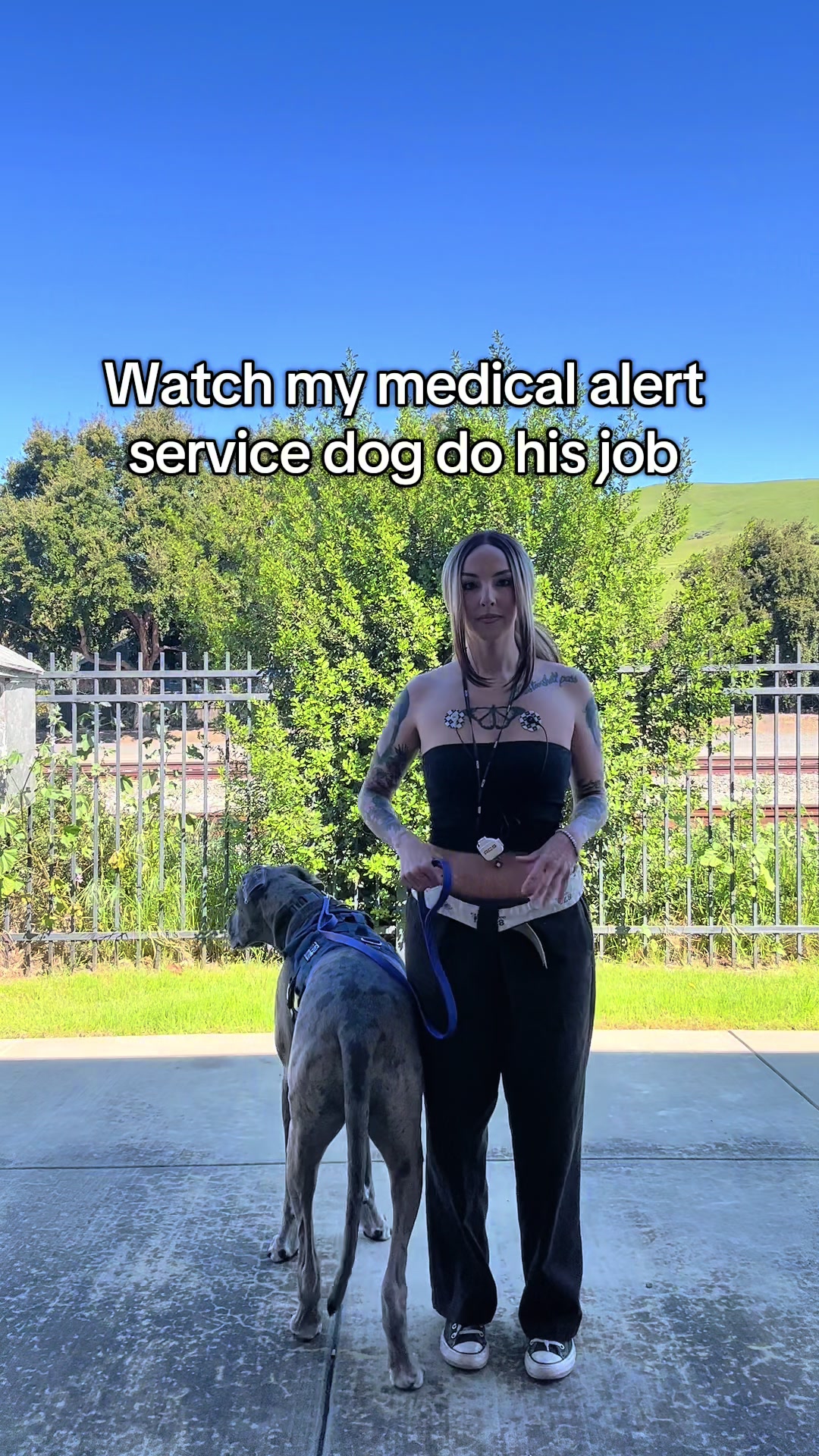 I am so incredibly proud and thankful! He faced his worst fear to help me today. I don’t even know how he knew that was the only way I could safely get out of the building. He continually amazes me😭🙏 EDIT: a lot of people are saying my heart rate is not high. I have POTS. This condition is based on how much the heart rate increases between sitting and standing in a short period of time. My resting heart rate is 50-60 bpm, therefore 131 bpm is high for ME. The definition of POTS is an increase of 30 bpm or more, not the specific number. We are all different. Talk to your doctor if you’re worried about your own heart rate.  #servicedog #medicalalertdog #servicedoglife #pots #servicedogsoftiktok 