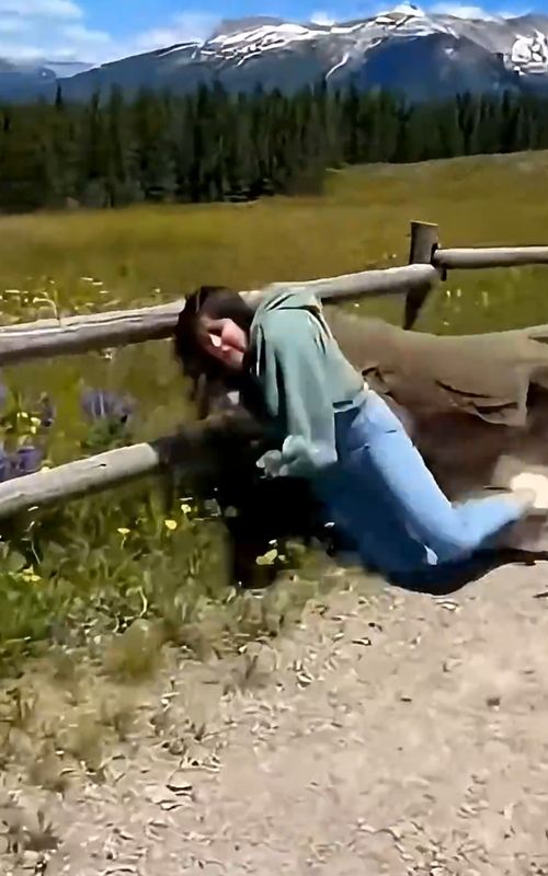 Komodo_Dragon_Encounter_Leaves_Everyone_Shocked.#fyp #foryoupage #animals #animals #viral #viralvideo 