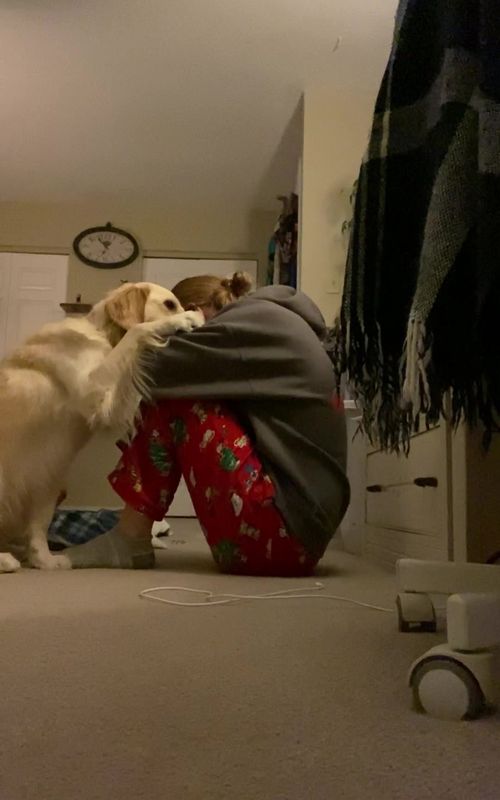 my best friend, and lifesaver #goldenretriever #MentalHealthAwareness #servicedog 