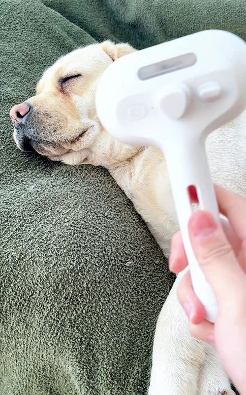 Fur-nomenal results! This spray & brush duo will leave your pet's coat shiny and tangle-free. 🌟🐾#catpick #dog #dogsofttiktok #spraycomb #DogMom 