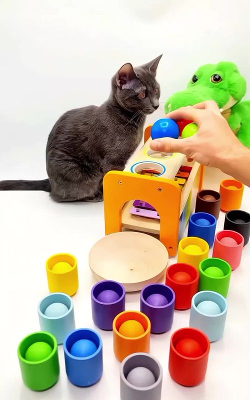 #CatSoftTikTok #CuteCats #CatLovers #CatsOfTikTok #FunnyCats #PetTok #FurryFriend #CatPlaying #Meow #KittyLove #CatLife #UKTikTok #UKPets #USACats #TrendingCats #ViralCatVideo #PetsOfTikTok #CatMoments #HappyPets #TikTokPets#satisfying 