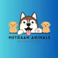 MetDaan Animals