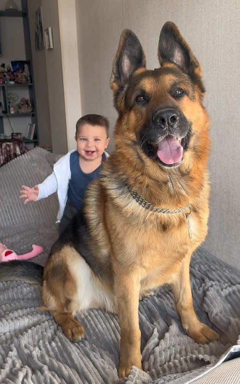 Best friends ❤️#dog #baby #pet #Love #cute #bestfriend #lovestory #dogsoftiktok #foryou #usa🇺🇸 