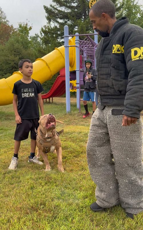 9 year old teaching his dog to protect him! Awesome duo ❤️🫡🦍 #foryou #dogsoftiktok #dogtraining #fyp 