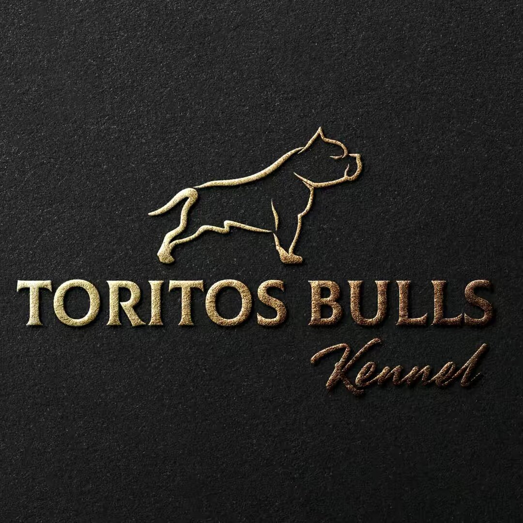 Toritos Bulls Kennel