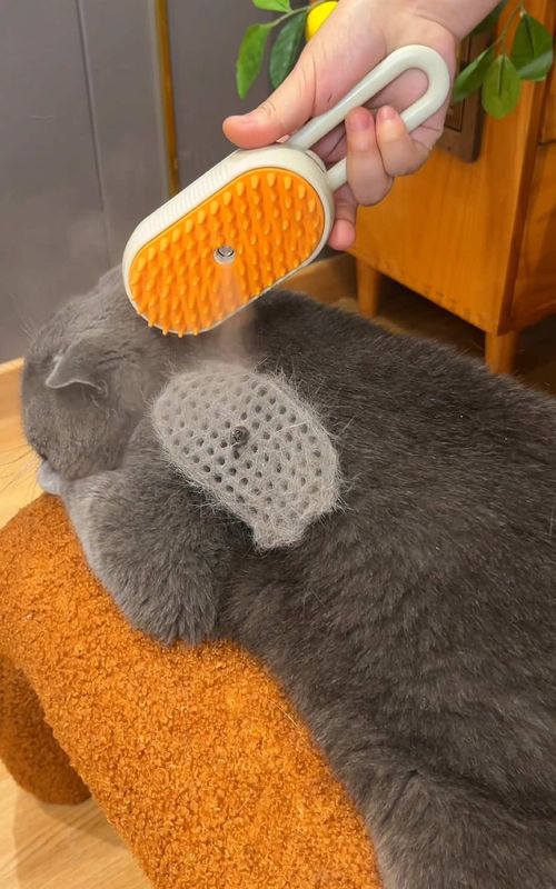 Pet Steam Brush