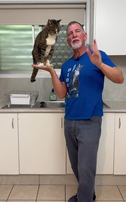 Cats are smart, They can learn all sorts of things. On my Patreon Page I have heaps of Trick and behaviour fixing tutorials.  #cattricks  #howto #smartestcat #tutorials #cats