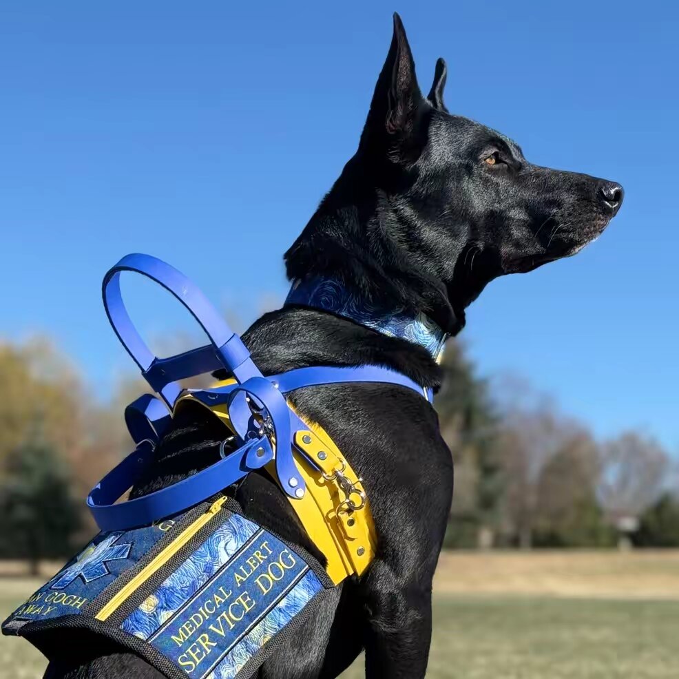 k9rocketofficial