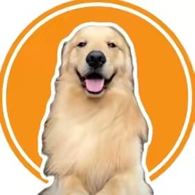 Cody