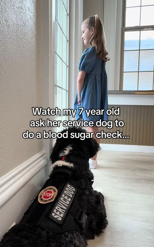 Only 7 years old and living with Type 1 Diabetes… she’s asking her dog to check if she’s safe. Kennedy’s safe range is 75-145 💔 #servicedog  #medicalalertdog #diabeticalertdog #dogsvideo #servicedogsoftiktok 
