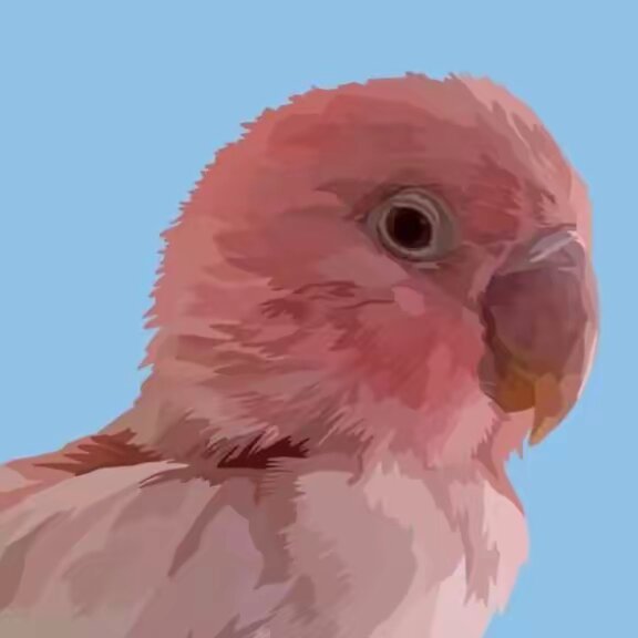 𝒫𝒶𝒸𝑜 🦩