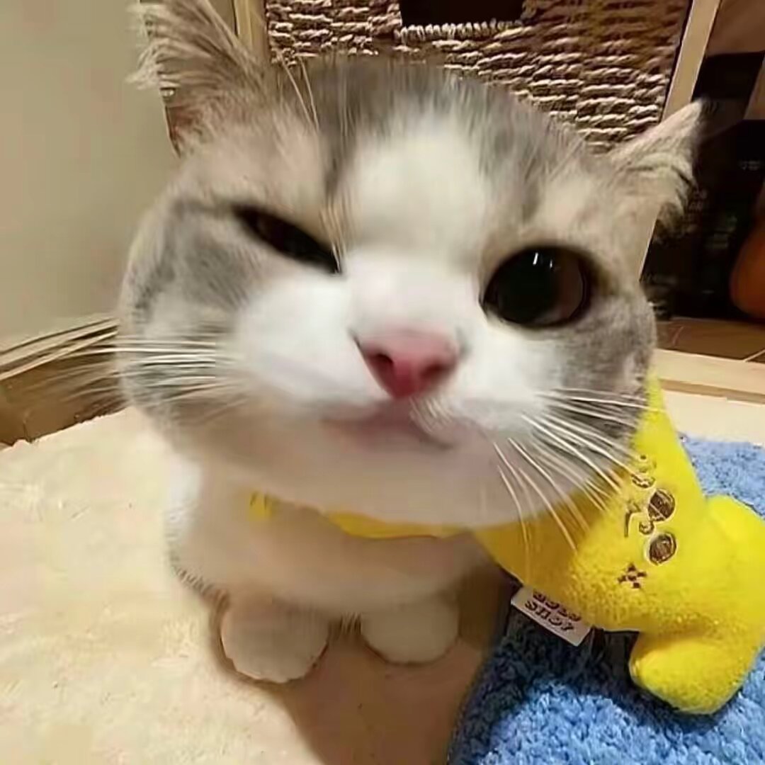 ViralPick