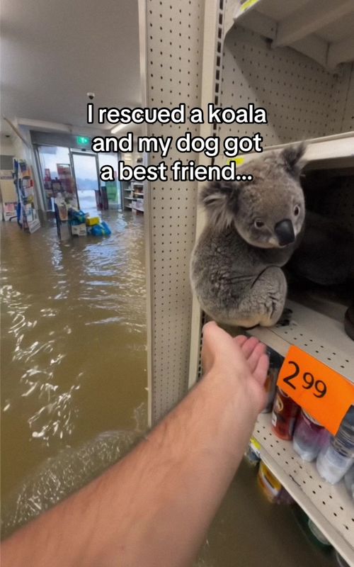 I can’t even hold the lil guy anymore #wholesome #animals 