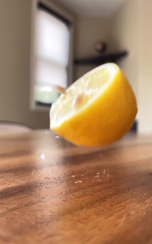 1 seed can produce 120.. 😳 Grow lemons! 🍋🌱 #lemon #gardening #howto  #planttips