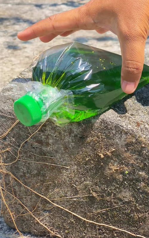 WoW!! Incredible Idea #diy #creative #lifehacks 