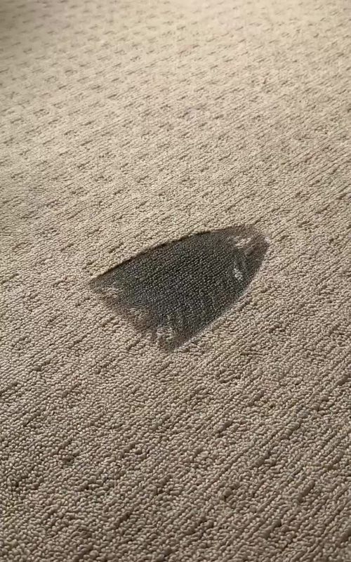 easy invisible carpet repair #carpetfix #diyrepair #flooring #homefix #renovation 
