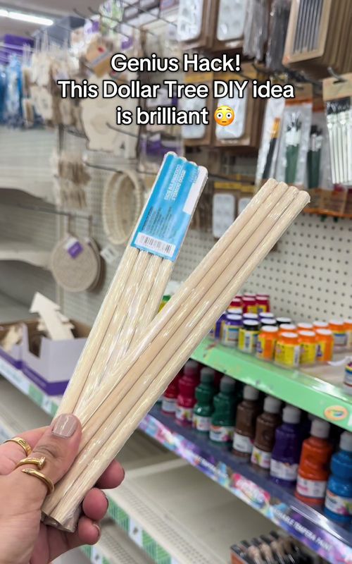 Dollar tree diy idea that is useful and brilliant for home organization #dollartree #dollartreediy #DIY #dollartreehacks #TikTokLearningCampaign 