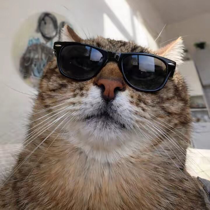 HayHay