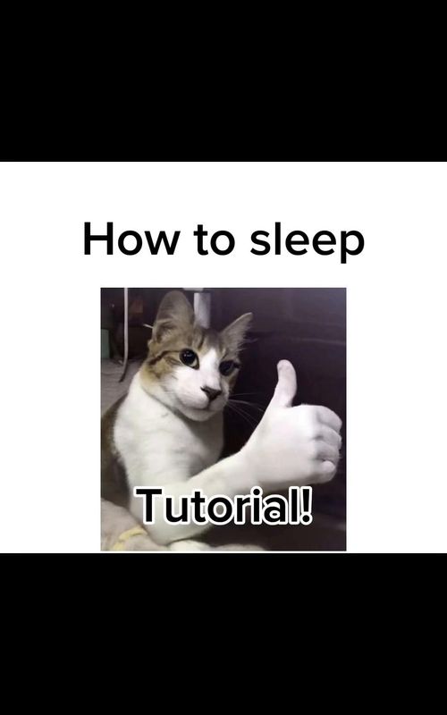 How to sleep tutorial 😃 #tutorial #cat #sleep