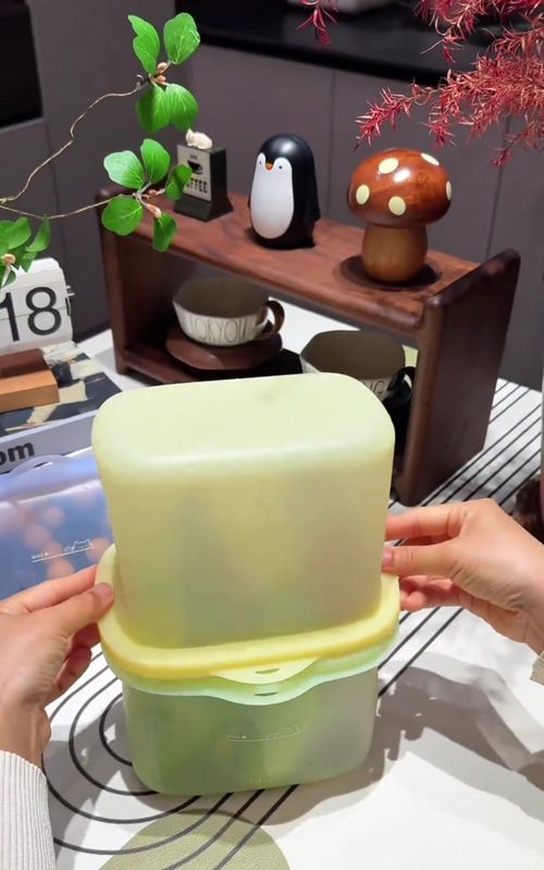 A standable, food-grade silicone food container that is safe for use in both the microwave and the freezer. #fyp #home #kitchen #gadgets #homeimprovement 