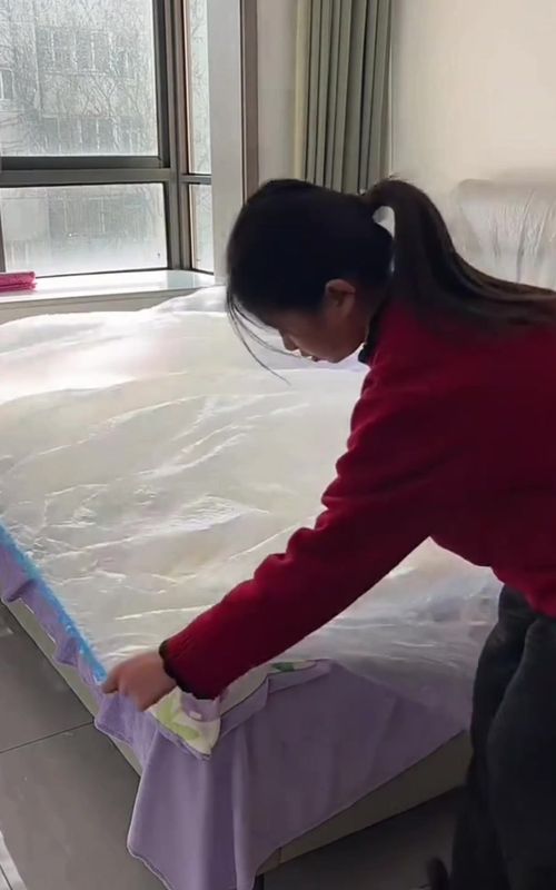 “This one thing keeps your home dust-free while you’re away 🤯” Going out or traveling? Just cover it and come back to a clean home ✨ No more deep cleaning after trips 🙌 #homehacks #cleaningtips #lifehack #musthave #travelessentials 