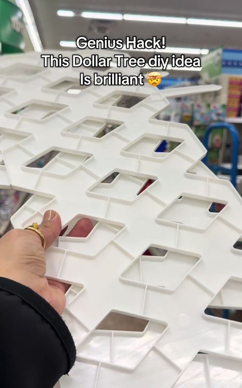 This Dollar Tree diy idea is genius #DIY #dollartree #dollartreediy #dollartreehacks #TikTokLearningCampaign 