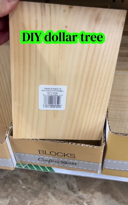 DIY dollar tree #DIY #dollartree #diydollartree #dollartreehacks #dollartreediy 