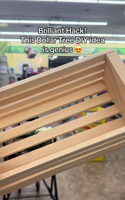 Genius Dollar Tree diy idea for home organization 🤯 #dollartree #dollartreediy #DIY #dollartreehacks #dollartreefinds 