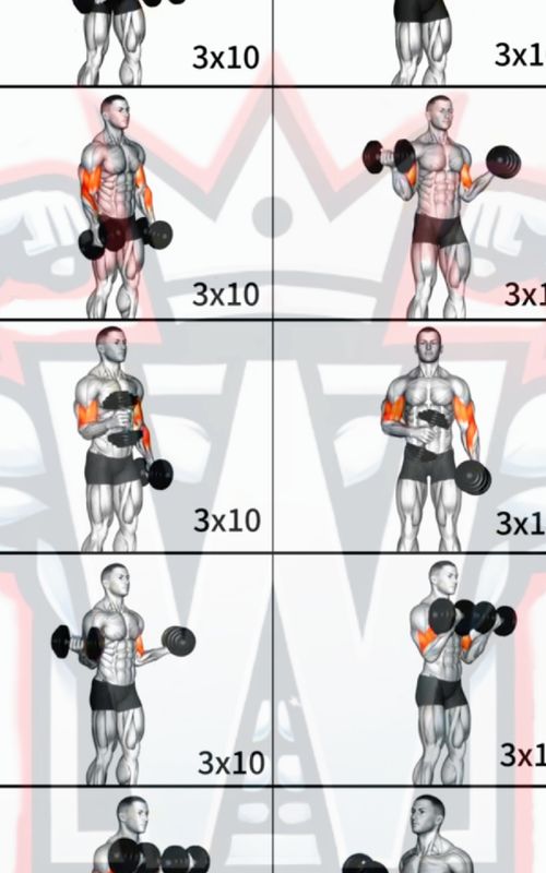 Best Dumbbell Bicep Workout for Bigger Arms | 3x10 Reps Each! 💪🔥  Build Bigger Biceps with Dumbbells!  This video shows you 10 powerful dumbbell bicep exercises — choose any 4–5 of them and perform 3 sets of 10 reps each to create your own workout! Whether it's the Hammer Curl, Concentration Curl, Zottman Curl, Alternating Curl, or Seated Curl, these moves are proven to grow your biceps with just dumbbells. Train consistently, control each rep, and your biceps will explode in size over time. No machines, no fancy gear — just dumbbells and hard work. 💯 Let your biceps do the talking!  #bicepsworkout #dumbbellworkout #armworkout #bicepsday #gainmuscle #homeworkout #fitnesschallenge #dumbbellbiceps #workoutmotivation #gymathome