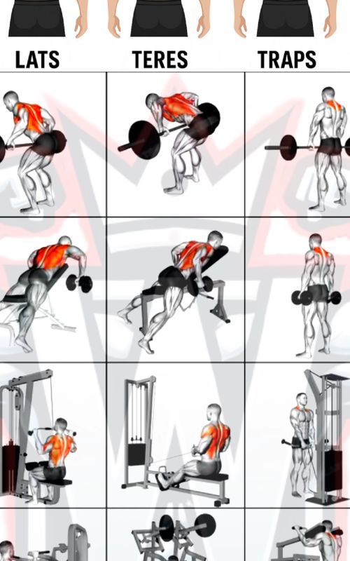 12 Best Back Exercises (Lats, Teres, Traps) | Build a Wide & Thick Back! Build your back like a pro! Choose 6 exercises (2 Lats, 2 Teres, 2 Traps) and create your own killer workout. Save it & try this on your next back day! 🔥 ✅ Workout Programs 🟢 EASY (Beginner) 6 Exercises Total 3 sets each 10–12 reps 60 sec rest between sets ✅ Focus: form, slow control, full range. --- 🔴 HARD (Advanced) 6 Exercises Total 4 sets each 10 reps Dropset on last set 45 sec rest ✅ Focus: high intensity, maximum contraction. Lats Barbell Row Chest Supported Row (DB) Lat Pulldown (machine) Machine High Row Teres Bent Over Barbell Row Dumbbell Row (bench) Seated Cable Row Plate-Loaded Machine Row Traps Barbell Shrug Dumbbell Shrug Cable Shrug Machine Shrug ✅ Call To Action Add this to your next workout and save for later! Which one is your favorite move? ⬇️ #backworkout  #latpulldown  #gymtok  #backday  #fitnessmotivation 